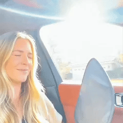 🚗 50% OFF Today Only 🔥 Static Cling Car Side Window Sun Visor